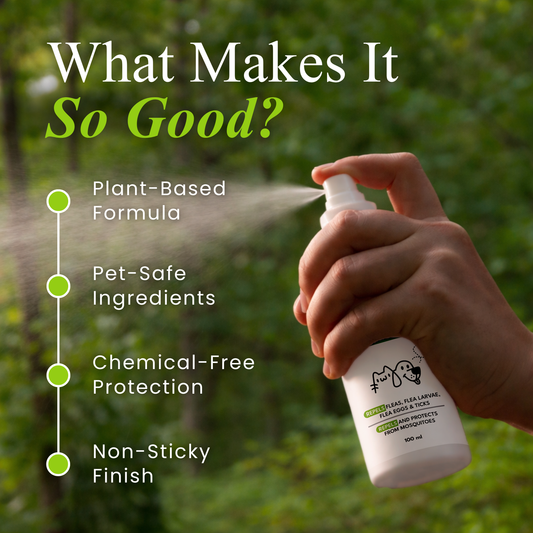 Tick and Flea Spray for Dogs & Cats
