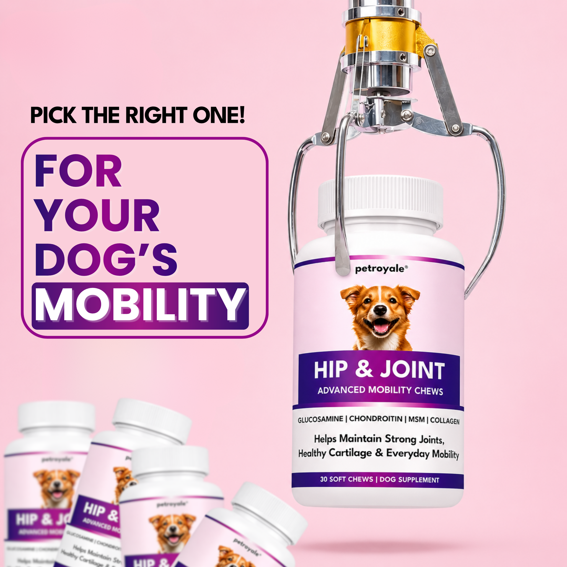 Why Every Dog Owner Should Consider a Joint Supplement for Dog?