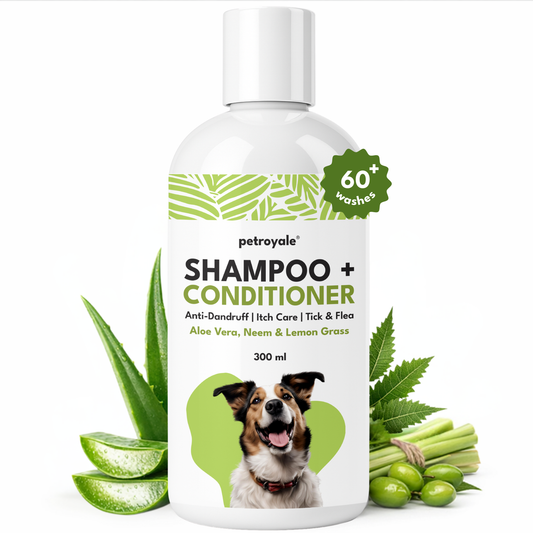 2-in-1 Shampoo + Conditioner for Dogs
