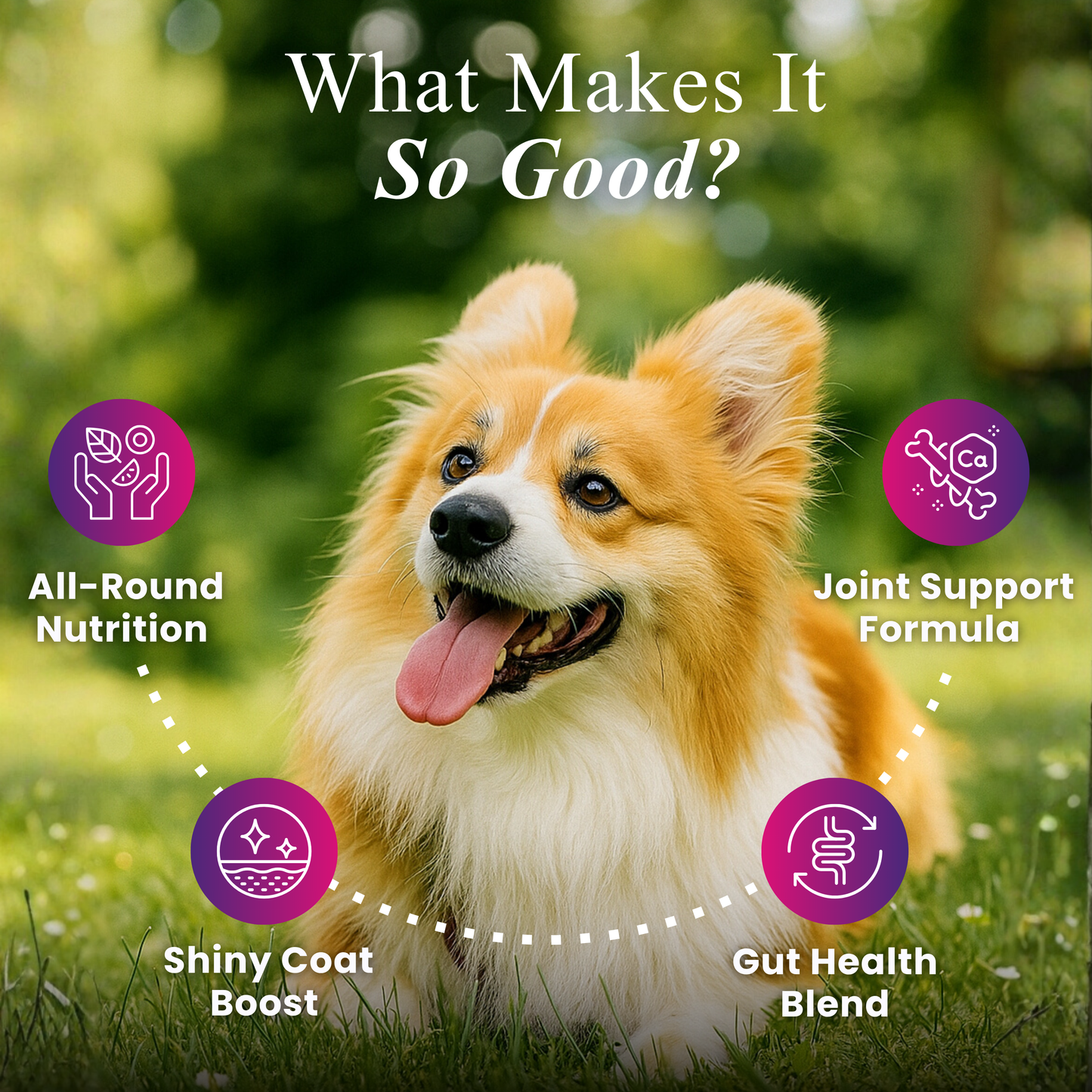 Daily One, All-in-One Superchews for Dogs