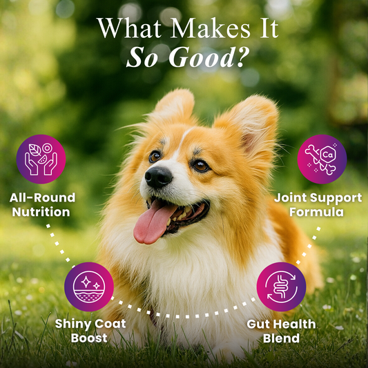 Daily One, All-in-One Supplement for Dogs