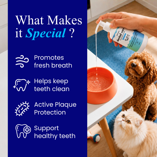 Dental Care Water Additive for Dogs and Cats