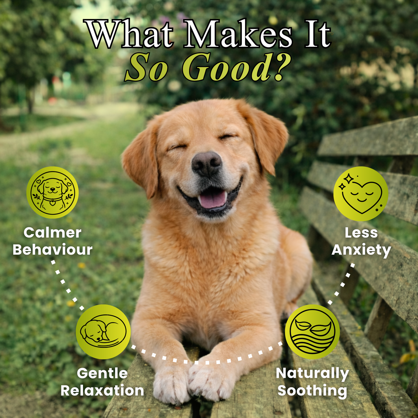 Calming Chews for Dogs