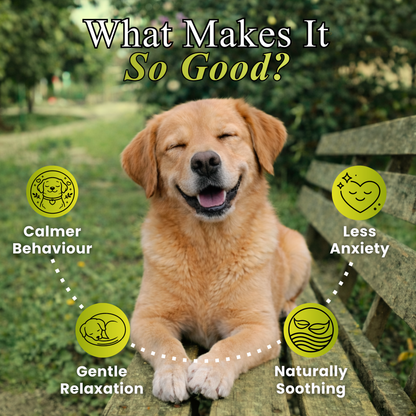 Calming Chews for Dogs