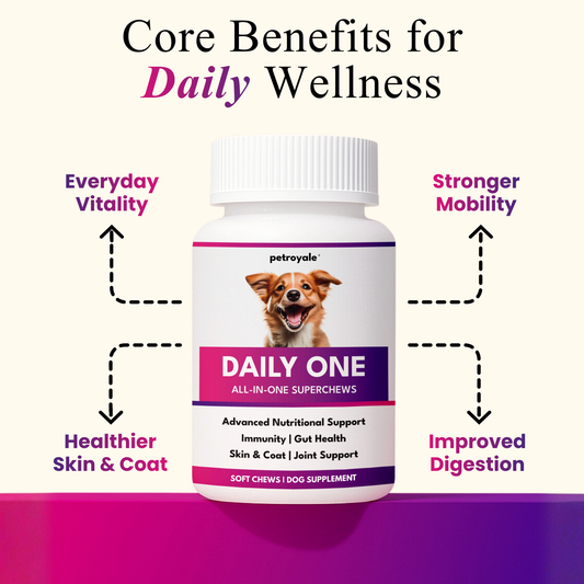 Daily One, All-in-One Supplement for Dogs
