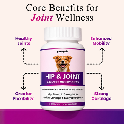Hip & Joint Advanced Mobility Dog Supplement