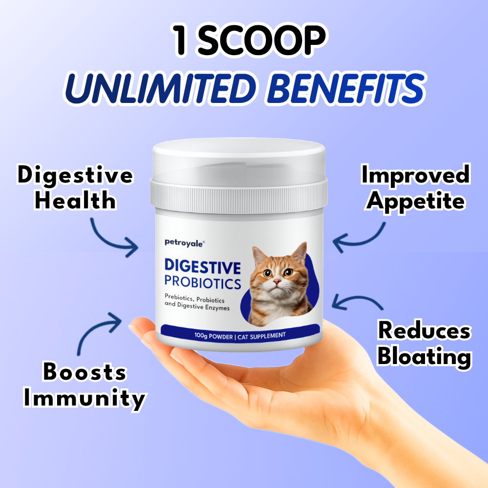 Digestive Probiotics for Cats
