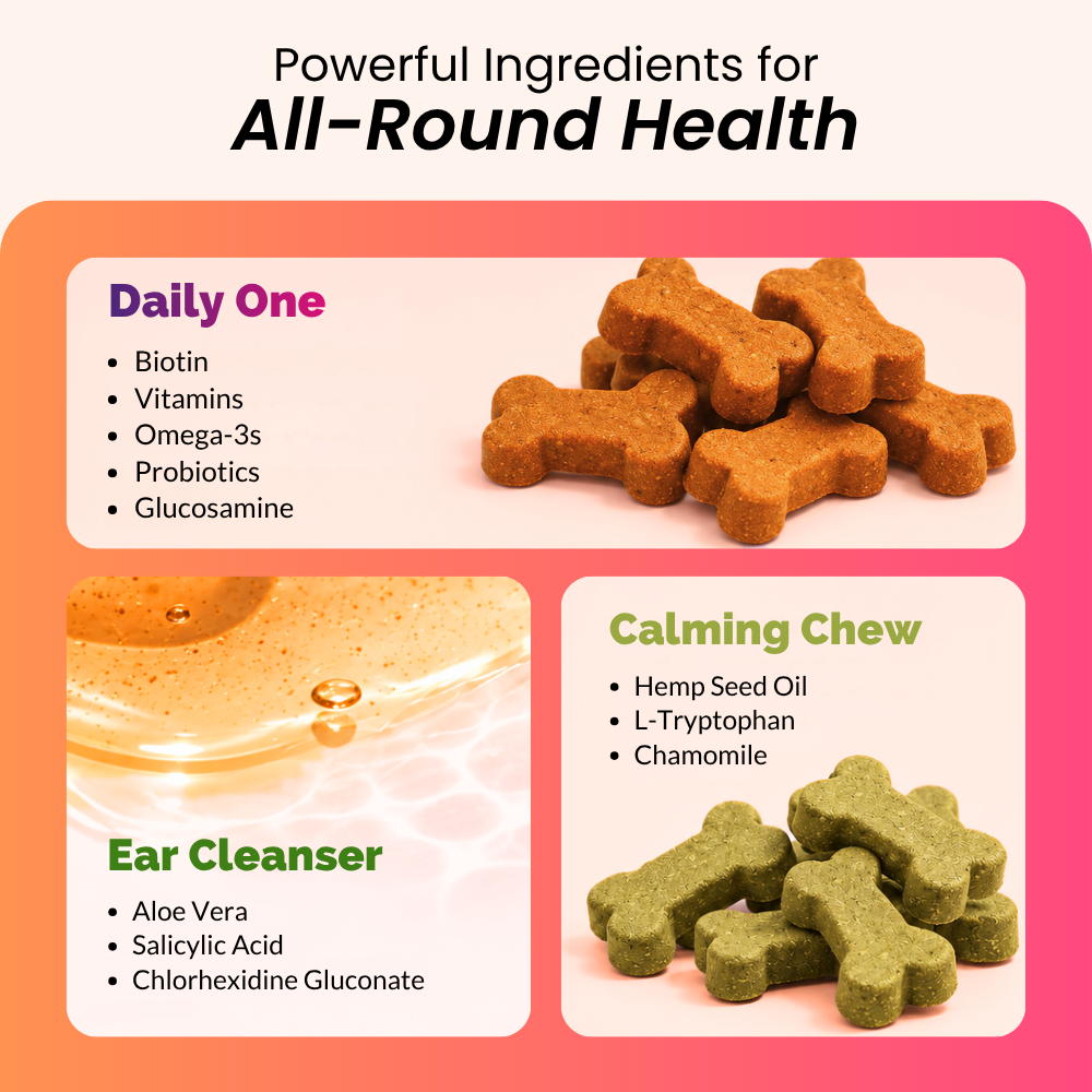 3-in-1 Daily Pet Care | Complete Everyday Combo For Dogs | Petroyale