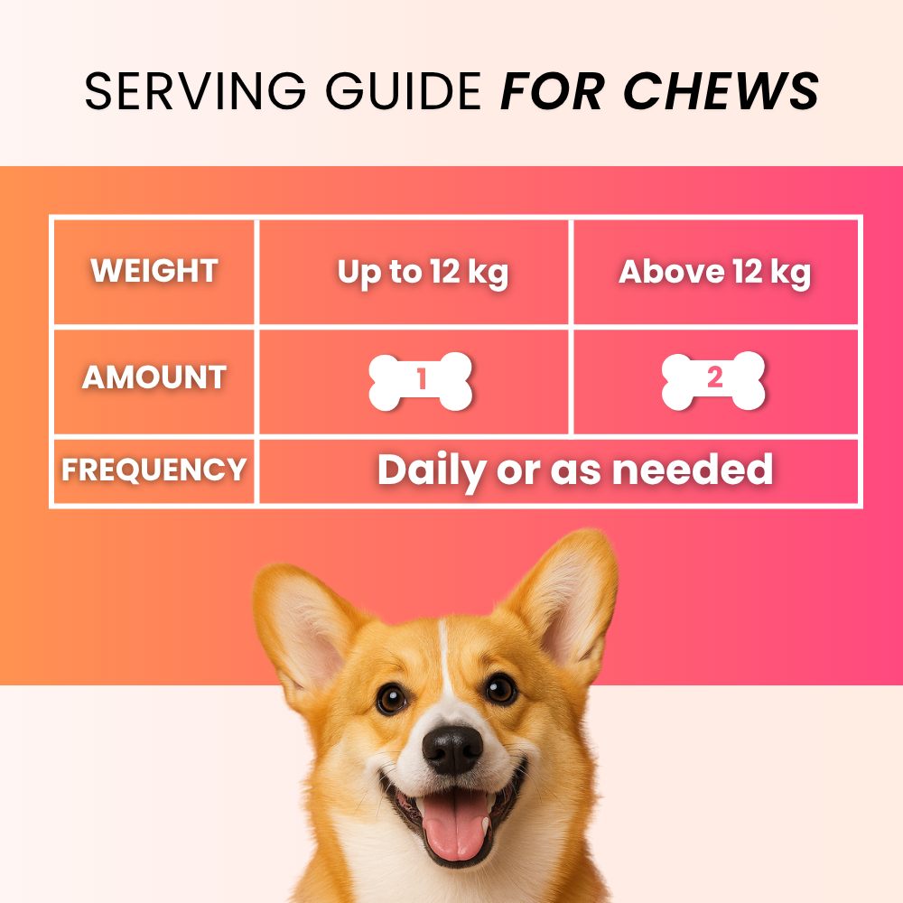 3-in-1 Daily Pet Care | Complete Everyday Combo For Dogs | Petroyale