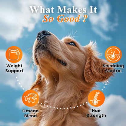 Furpro-40 Dogs & Cats Protein Powder