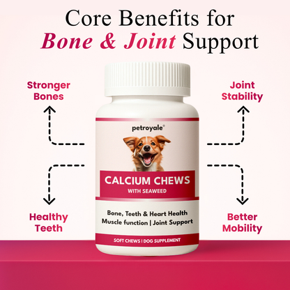 Petroyale Calcium Chews for Dogs - Calcium Supplement for Dogs with Multivitamins - Dog Calcium Tablets for Strong Bones, Joints & Teeth - Calcium for Dog Soft Chew