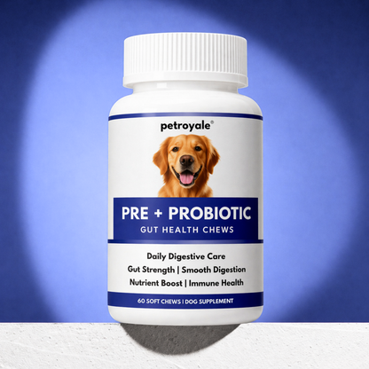 Petroyale Pre and Probiotic Chews for Dogs for gut health, digestion, diarrhea relief and immune support