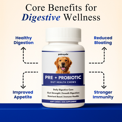 Petroyale Pre and Probiotic Chews for Dogs for gut health, digestion, diarrhea relief and immune support