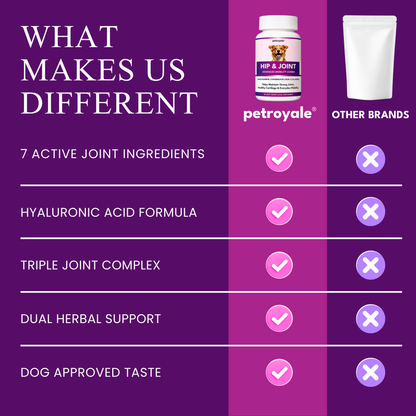 Hip & Joint Advanced Mobility Dog Supplement