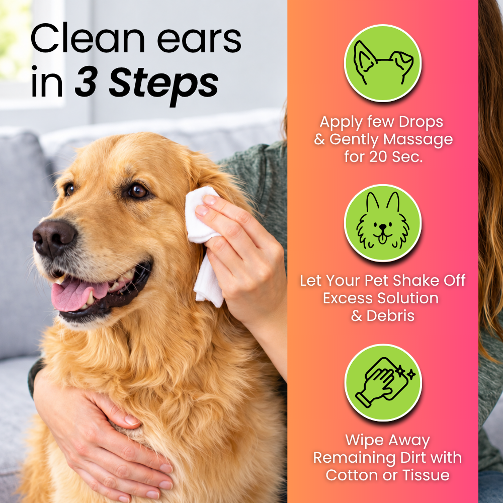 3-in-1 Daily Pet Care | Complete Everyday Combo For Dogs | Petroyale