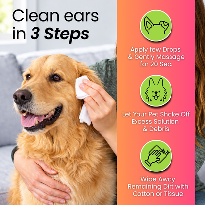 3-in-1 Daily Pet Care | Complete Everyday Combo For Dogs | Petroyale