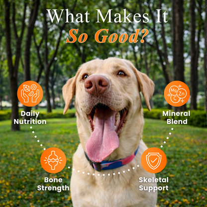 Multivitamin Chews for Dogs