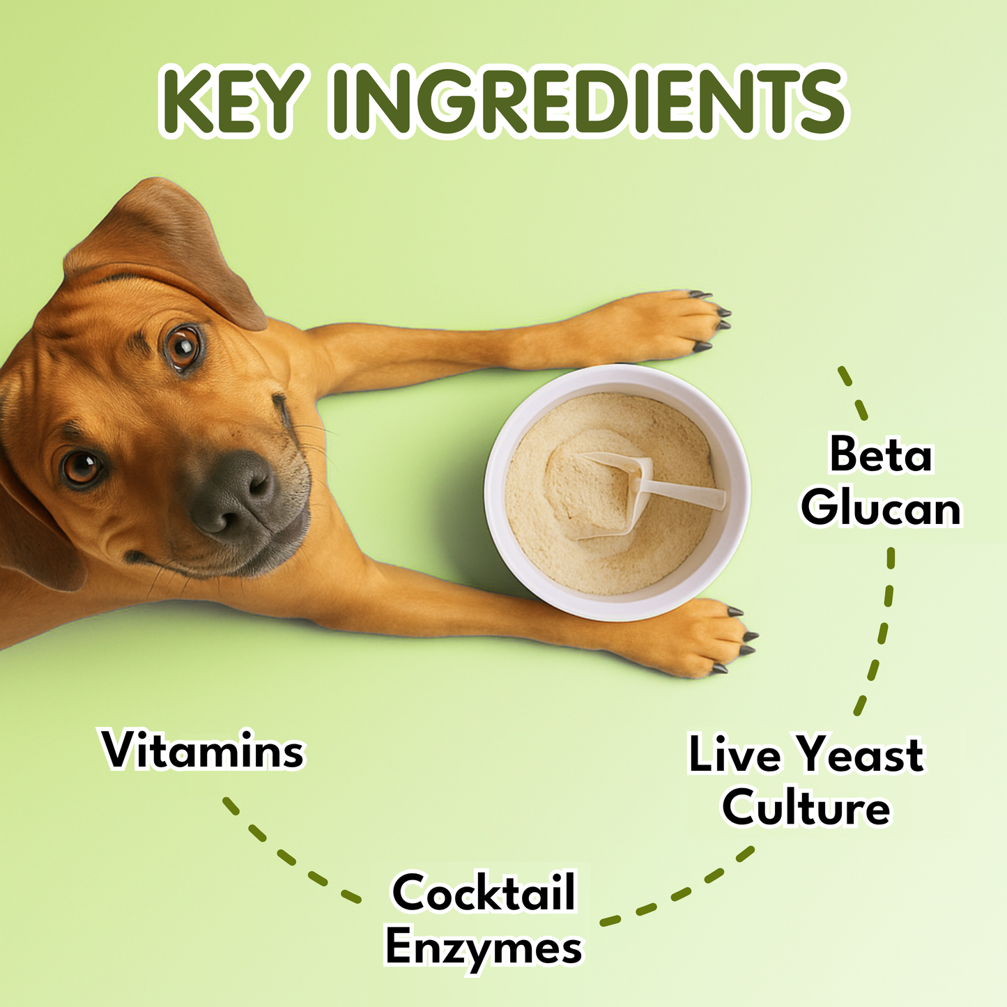 Oral Probiotics for Dogs