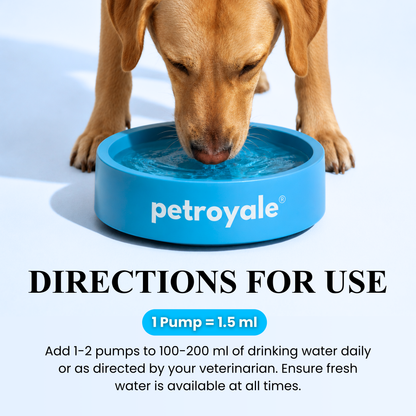 Dental Care Water Additive for Dogs and Cats