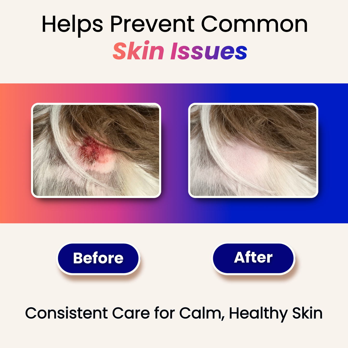 Skin Relief Spray for Dogs & Cats