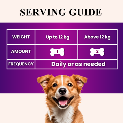 Hip & Joint Advanced Mobility Dog Supplement