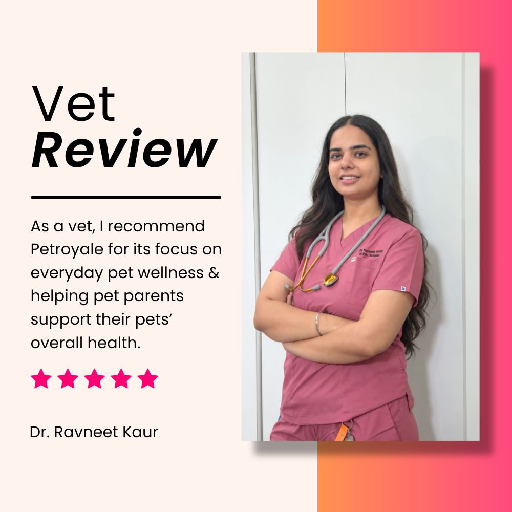 3-in-1 Daily Pet Care | Complete Everyday Combo For Dogs | Petroyale