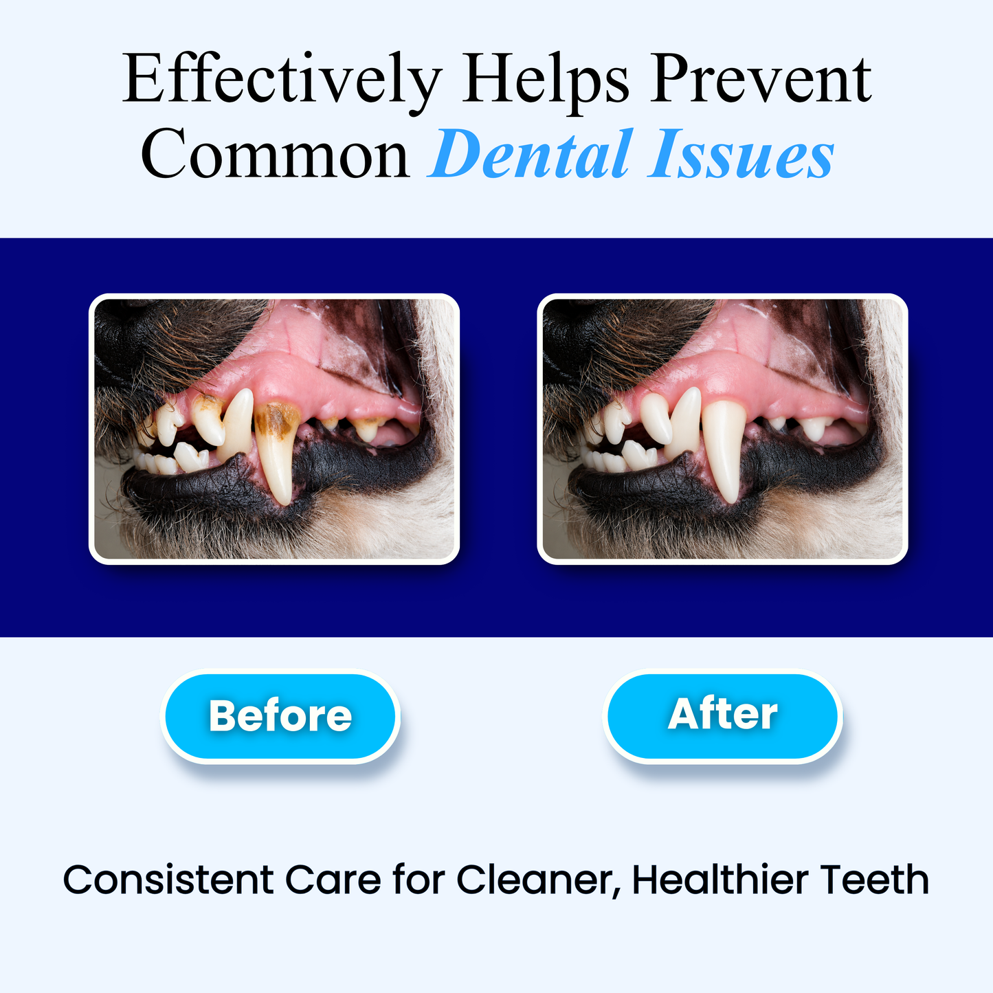 Dental Care Water Additive for Dogs and Cats