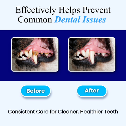 Dental Care Water Additive for Dogs and Cats