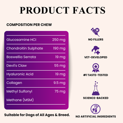 Hip & Joint Advanced Mobility Dog Supplement