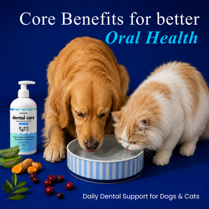 Dental Care Water Additive for Dogs and Cats