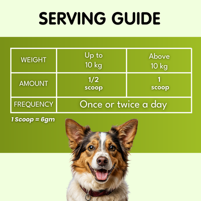 Oral Probiotics for Dogs