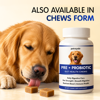 Probiotics for Dogs Gut Health Support | Petroyale