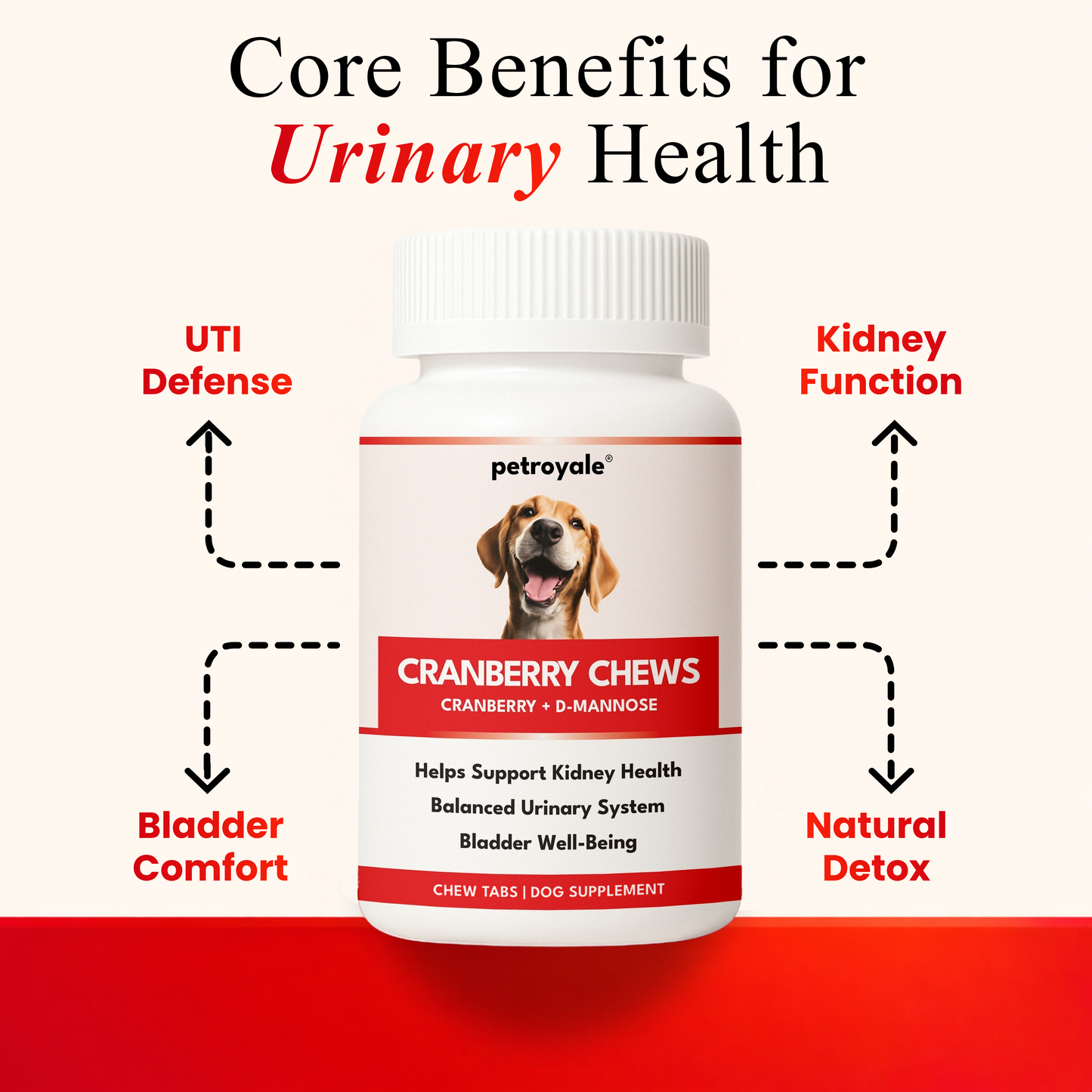 Petroyale Cranberry Chews for Dogs - Dog UTI Health Supplement - Better Urinary Tract & Bladder Function - Antioxidant, Anti-Inflammatory - for Dogs of All Dogs