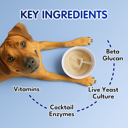 Petroyale Digestive Supplement for Dogs Supports Gut Health, Digestion & Daily Immunity
