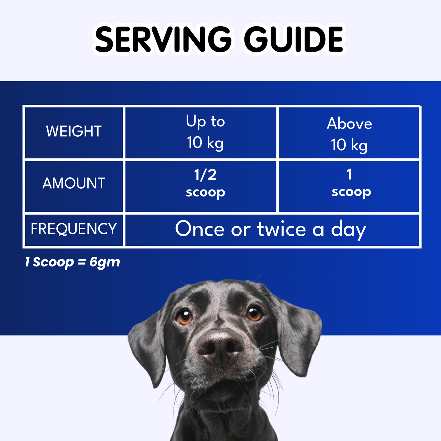 Petroyale Digestive Supplement for Dogs Supports Gut Health, Digestion & Daily Immunity