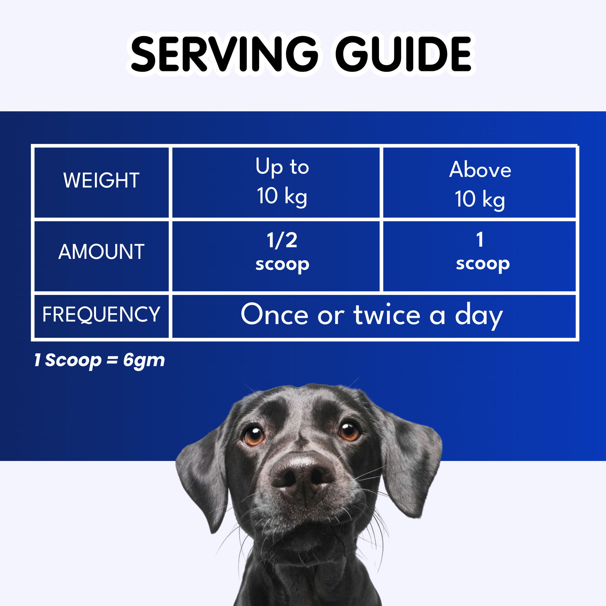 Petroyale Digestive Supplement for Dogs Supports Gut Health, Digestion & Daily Immunity