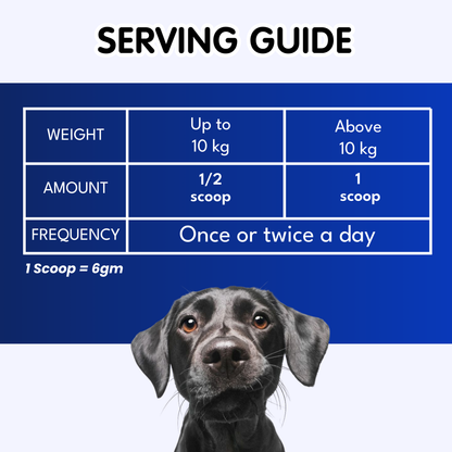 Petroyale Digestive Supplement for Dogs Supports Gut Health, Digestion & Daily Immunity