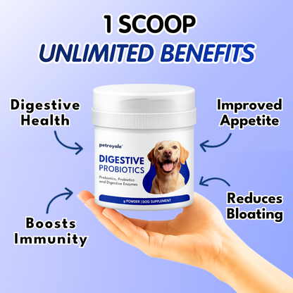 Petroyale Digestive Supplement for Dogs Supports Gut Health, Digestion & Daily Immunity