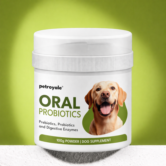 Petroyale Oral Probiotics for Dogs -9B+ CFU Dog Dental Powder for Plaque & Tartar Removal - Fresh Breath, Gum Health & Oral Care Support - Dental Powder for Dogs 