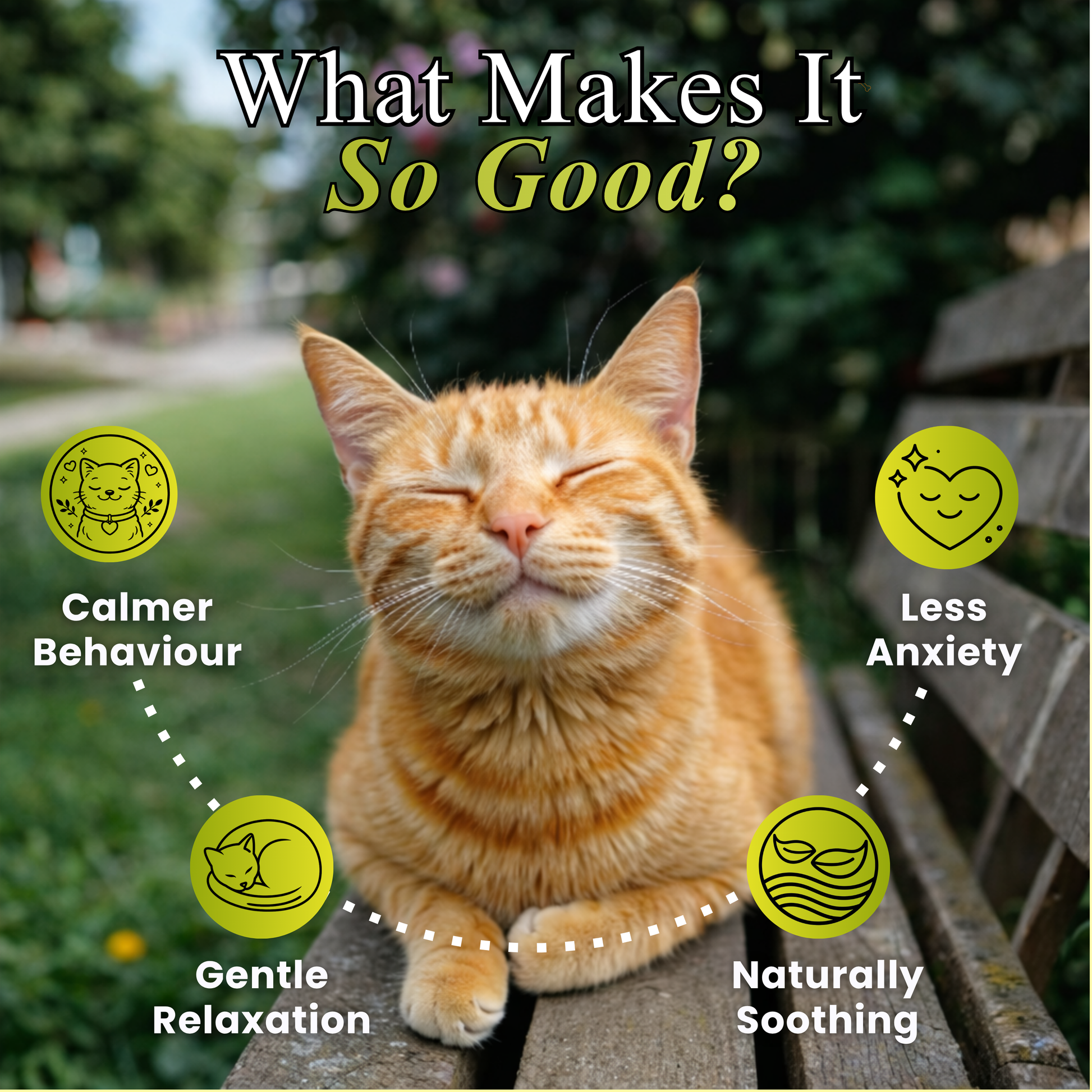 Petroyale Cat Calming Supplement Chews for Stress-Free Behavior