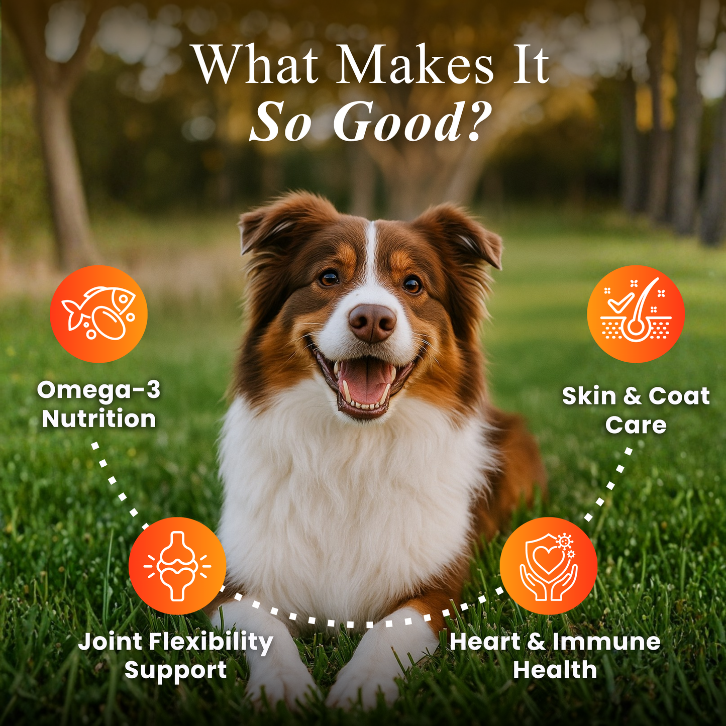 Petroyale Omega Chews for Dogs – Daily Skin & Coat Health Formula