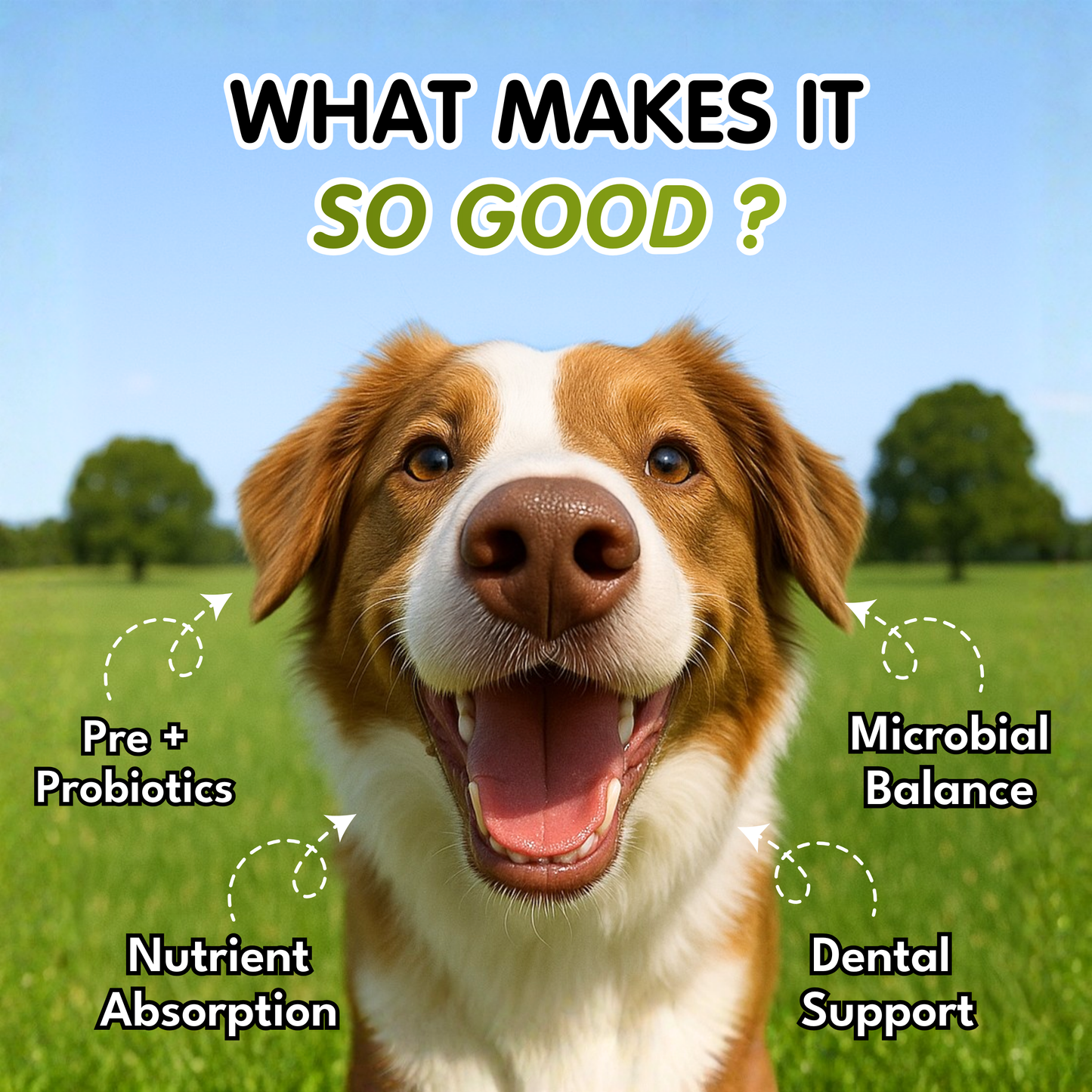 Petroyale Oral Probiotic Chews for Dogs – Daily Dental & Gut Health Support