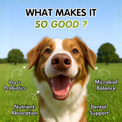 Petroyale Oral Probiotic Chews for Dogs – Daily Dental & Gut Health Support