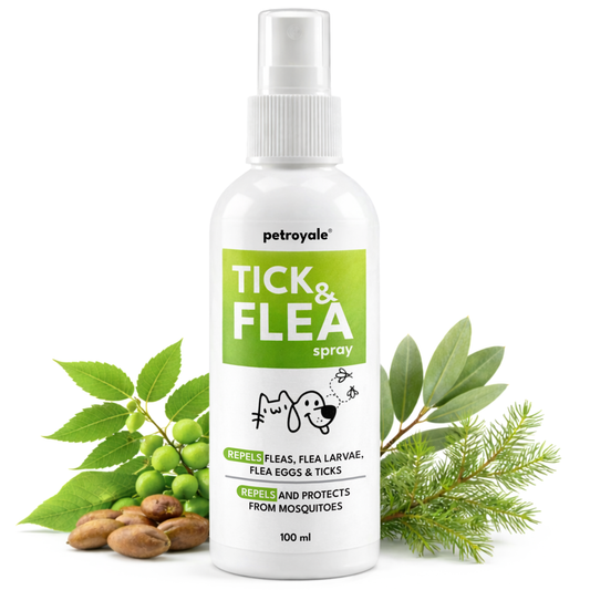 Tick and Flea Spray for Dogs & Cats