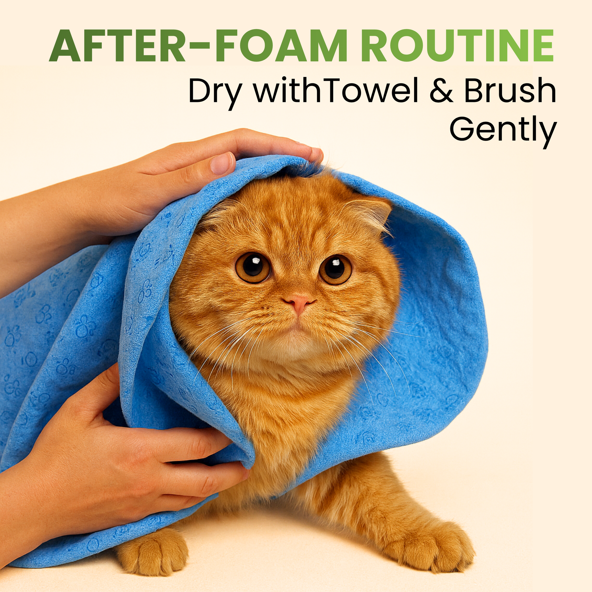 Petroyale Dry Bath Shampoo for Cats Cleans, Freshens & Deodorizes Coat Without Water