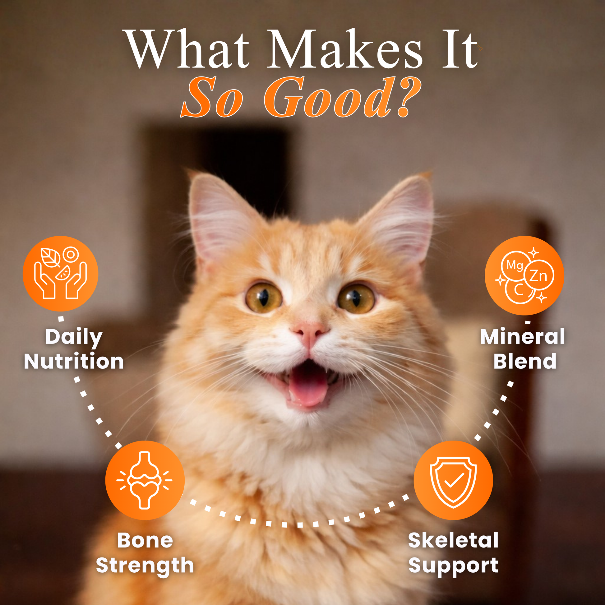 Cat Multivitamin supplement formulated to support overall health, immunity, energy, and daily nutrition in cats.