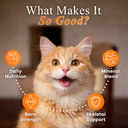 Cat Multivitamin supplement formulated to support overall health, immunity, energy, and daily nutrition in cats.