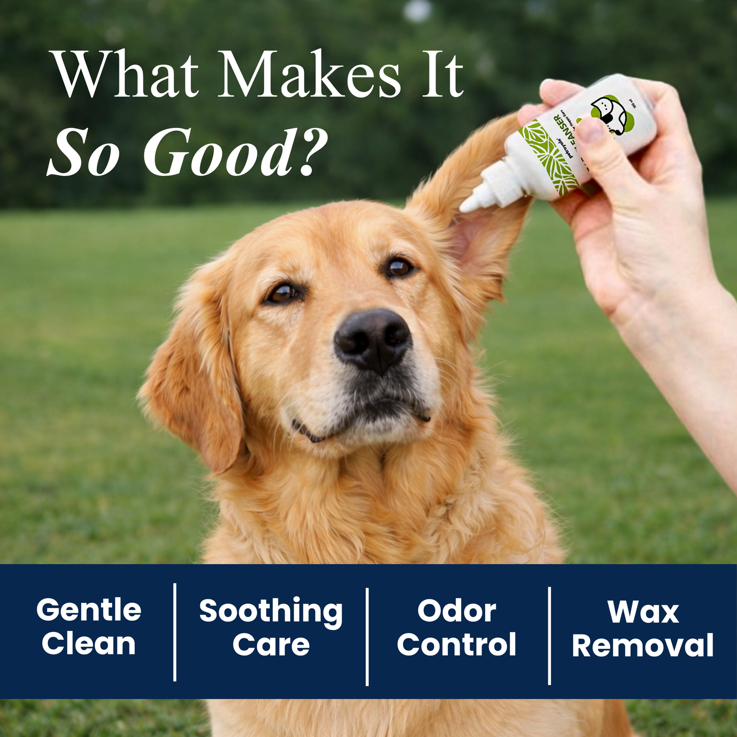 Petroyale Ear Cleanser for Dogs Helps Remove Wax, Dirt & Odor for Healthy Clean Ears