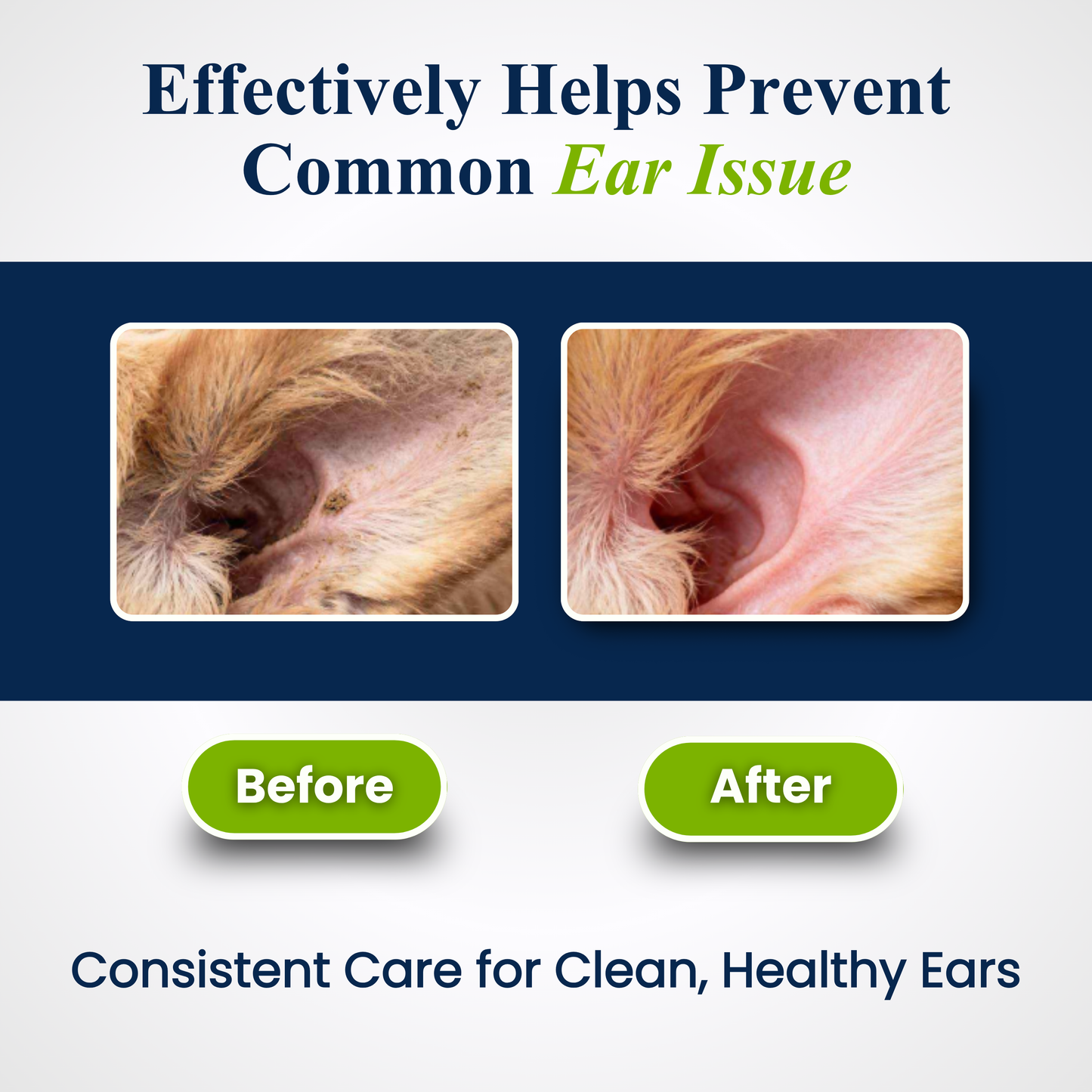 Petroyale Ear Cleanser for Dogs Helps Remove Wax, Dirt & Odor for Healthy Clean Ears