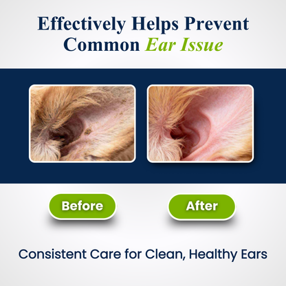 Petroyale Ear Cleanser for Dogs Helps Remove Wax, Dirt & Odor for Healthy Clean Ears